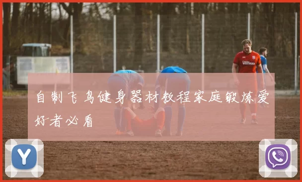 自制飞鸟健身器材教程家庭锻炼爱好者必看