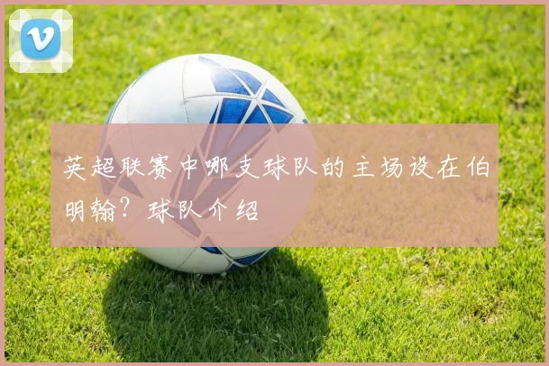 英超联赛中哪支球队的主场设在伯明翰？球队介绍