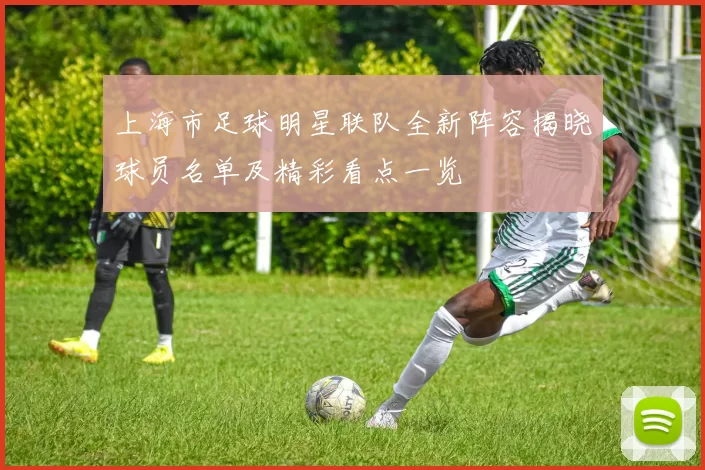 上海市足球明星联队全新阵容揭晓球员名单及精彩看点一览