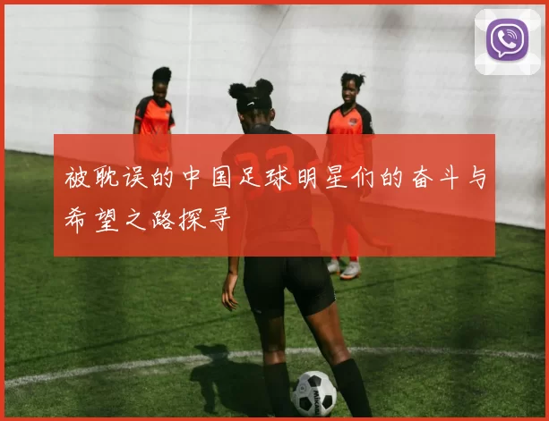 被耽误的中国足球明星们的奋斗与希望之路探寻