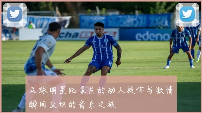 足球明星纪录片的动人旋律与激情瞬间交织的音乐之旅