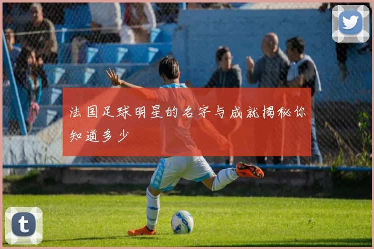 法国足球明星的名字与成就揭秘你知道多少