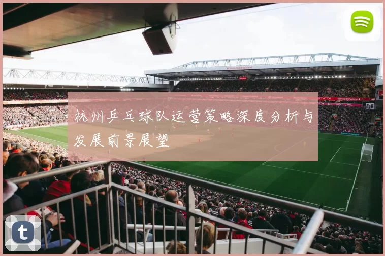 杭州乒乓球队运营策略深度分析与发展前景展望