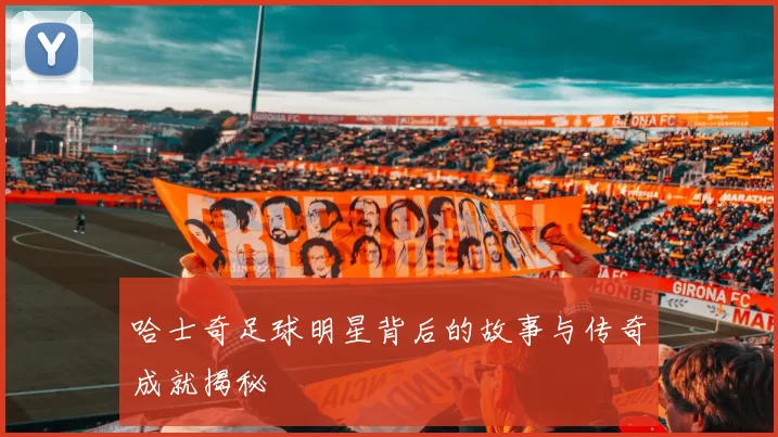 哈士奇足球明星背后的故事与传奇成就揭秘