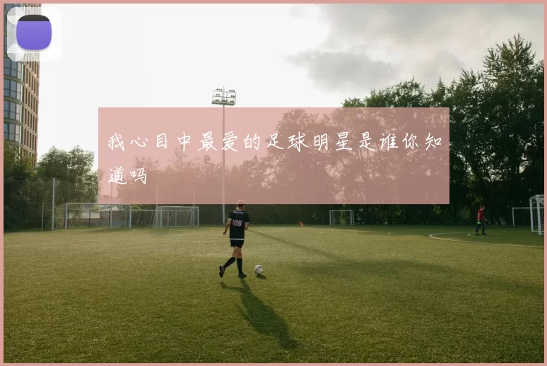 我心目中最爱的足球明星是谁你知道吗
