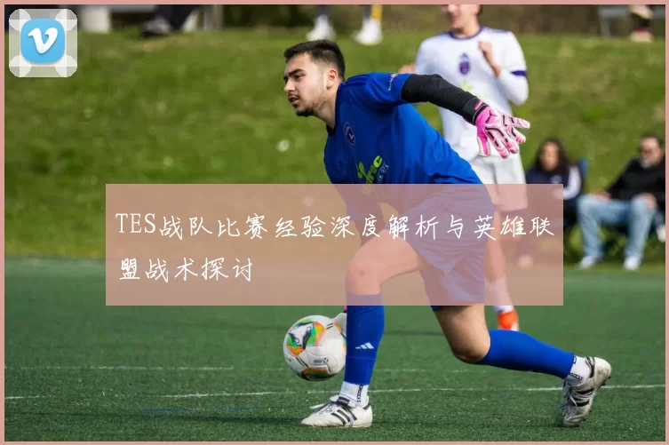 TES战队比赛经验深度解析与英雄联盟战术探讨