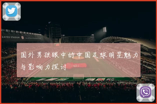 国外男孩眼中的中国足球明星魅力与影响力探讨
