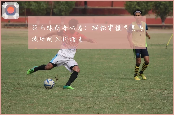 羽毛球新手必看：轻松掌握节奏与技巧的入门指南