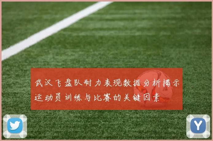 武汉飞盘队耐力表现数据分析揭示运动员训练与比赛的关键因素