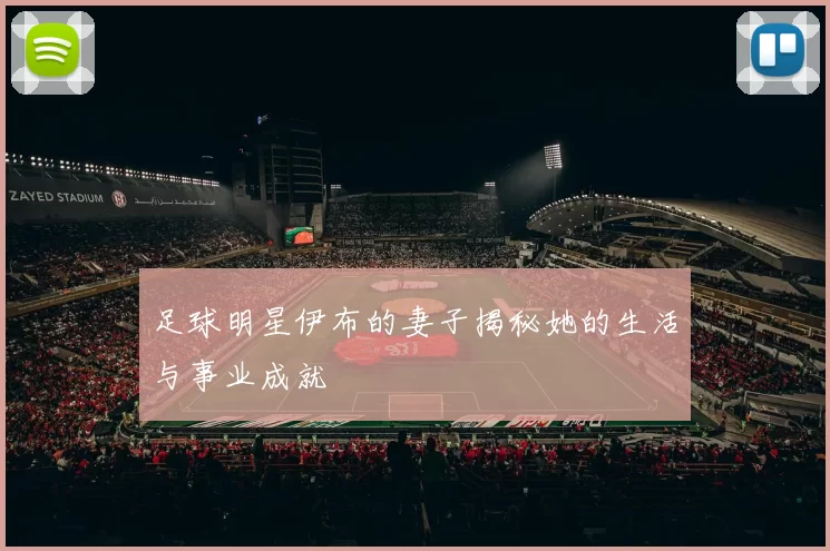 足球明星伊布的妻子揭秘她的生活与事业成就