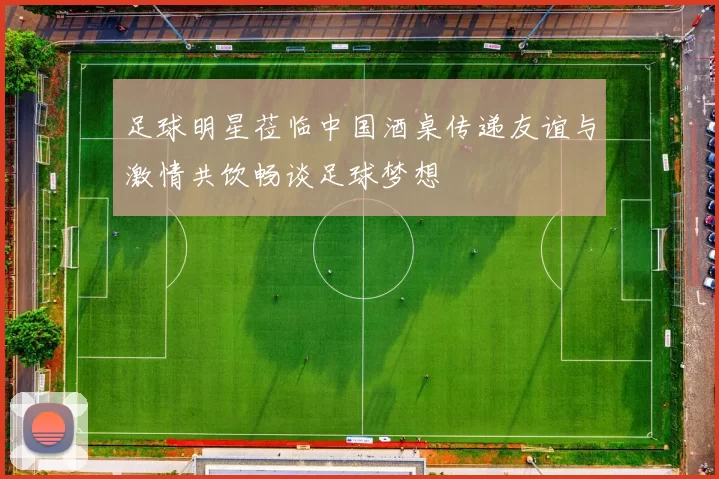 足球明星莅临中国酒桌传递友谊与激情共饮畅谈足球梦想