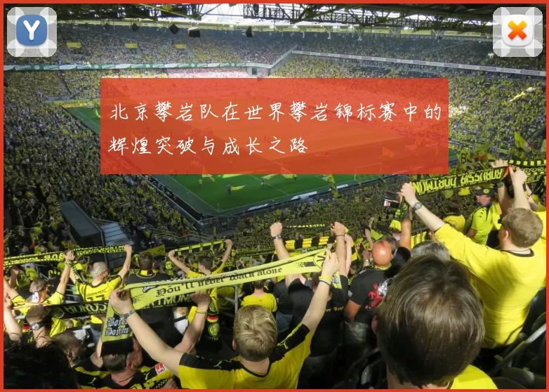 北京攀岩队在世界攀岩锦标赛中的辉煌突破与成长之路