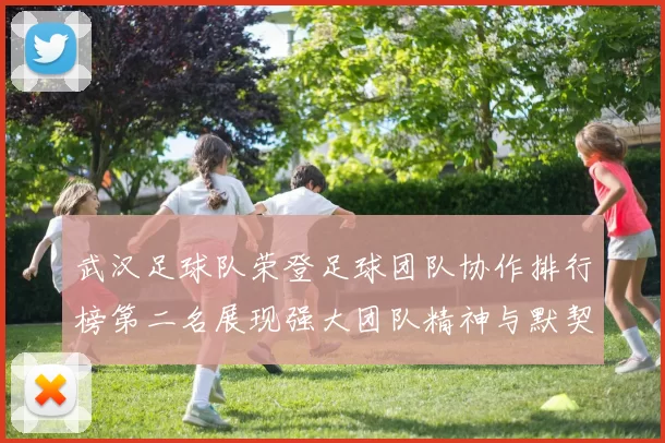武汉足球队荣登足球团队协作排行榜第二名展现强大团队精神与默契配合